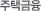 ñ